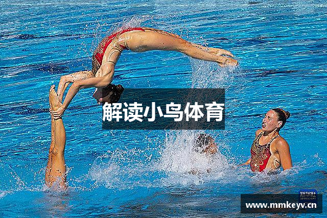 解读小鸟体育